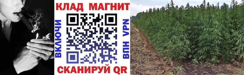 Купить наркоту Череповец ГАШИШ Марихуана МЕФ