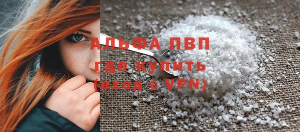 стафф Елизово