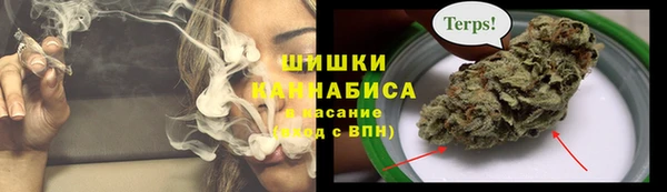 mdpv Ельня
