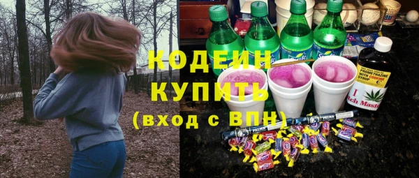 амф Елабуга