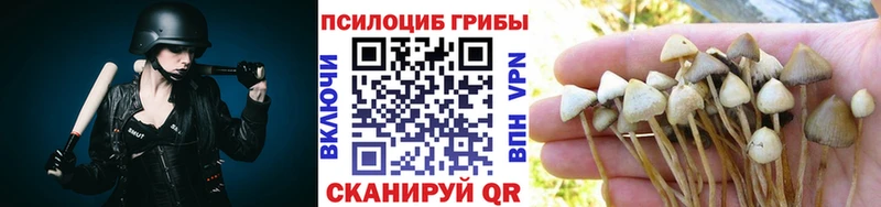 гидра ссылки  Череповец  Галлюциногенные грибы Psilocybe  купить закладку 