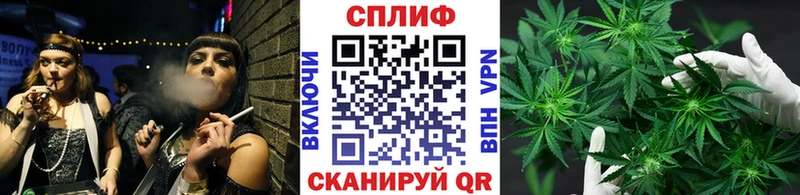 Шишки марихуана гибрид блэк спрут маркетплейс Череповец